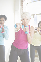 MCfitness - Julia McDonald